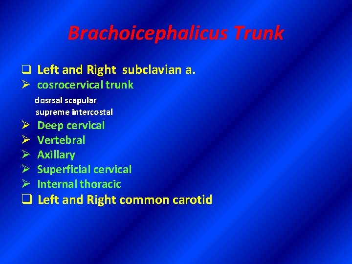 Brachoicephalicus Trunk q Left and Right subclavian a. Ø cosrocervical trunk dosrsal scapular supreme
