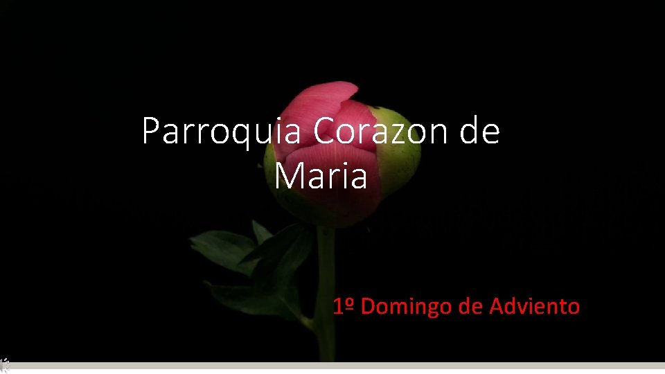 Parroquia Corazon de Maria 1º Domingo de Adviento Parroquia Corazon de Maria 1º Domingo de Adviento