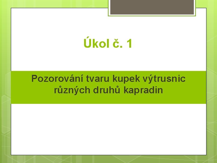 Úkol č. 1 Pozorování tvaru kupek výtrusnic různých druhů kapradin 