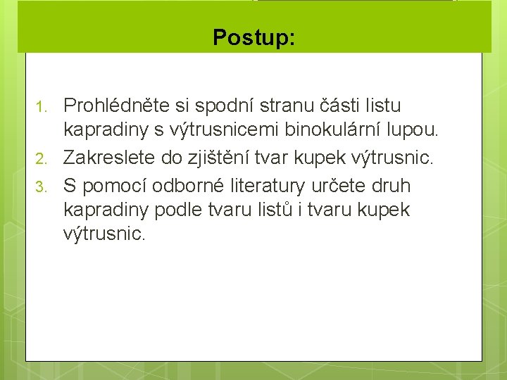 Postup: 1. 2. 3. Prohlédněte si spodní stranu části listu kapradiny s výtrusnicemi binokulární