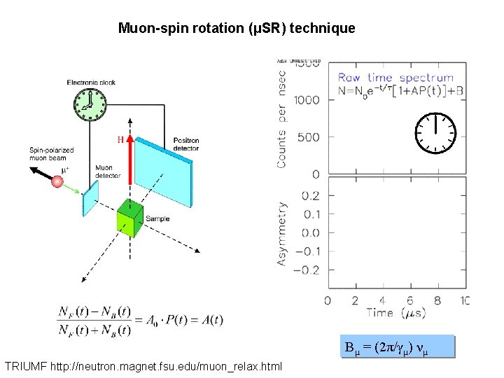 Muon-spin rotation (μSR) technique Bμ = (2π/γμ) νμ TRIUMF http: //neutron. magnet. fsu. edu/muon_relax.