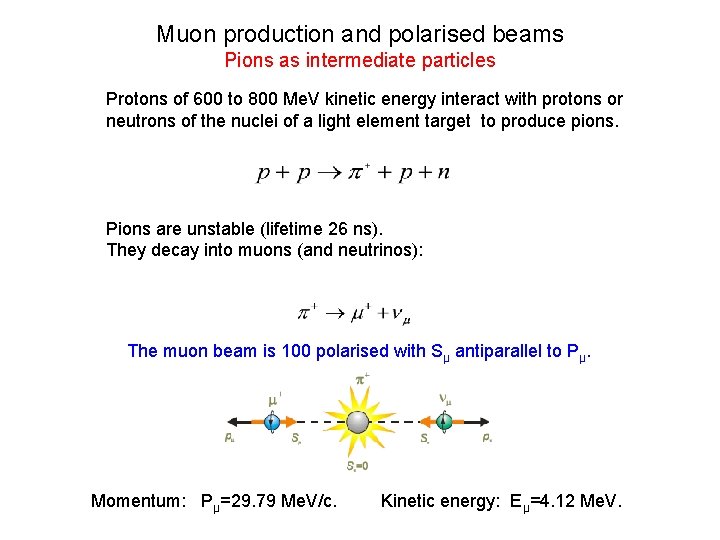 Muon production and polarised beams Pions as intermediate particles Protons of 600 to 800