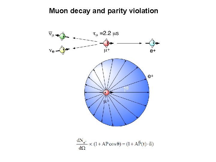 Muon decay and parity violation 