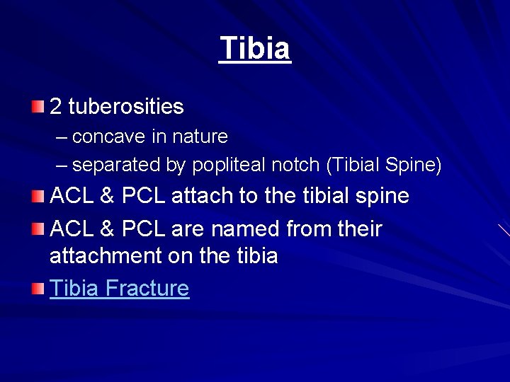 Tibia 2 tuberosities – concave in nature – separated by popliteal notch (Tibial Spine)