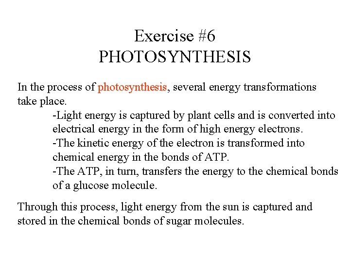 Exercise #6 PHOTOSYNTHESIS In the process of photosynthesis, photosynthesis several energy transformations take place.