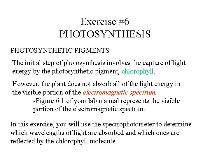 Exercise #6 PHOTOSYNTHESIS PHOTOSYNTHETIC PIGMENTS The initial step of photosynthesis involves the capture of