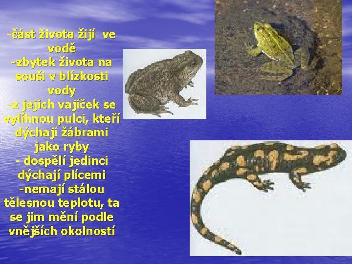 -část života žijí ve vodě -zbytek života na souši v blízkosti vody -z jejich