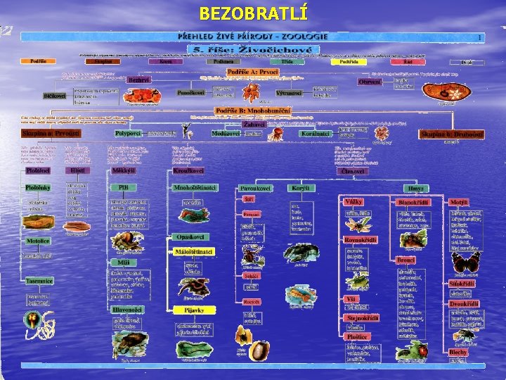 BEZOBRATLÍ 