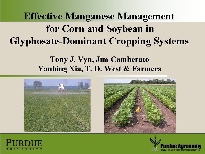 Effective Manganese Management for Corn and Soybean in Glyphosate-Dominant Cropping Systems Tony J. Vyn,