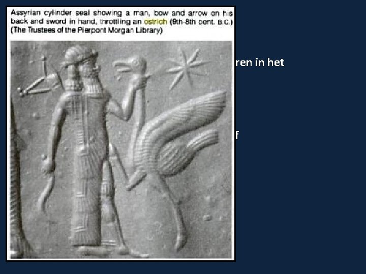  • ONREIN VOEDSEL Lev. 11: 9 -12 Water schepsels zonder schubben: bvb, kokkels,