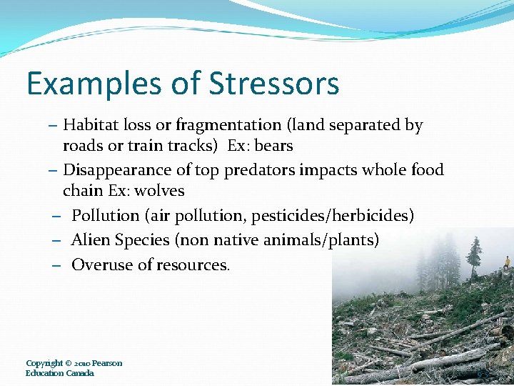 Examples of Stressors – Habitat loss or fragmentation (land separated by roads or train