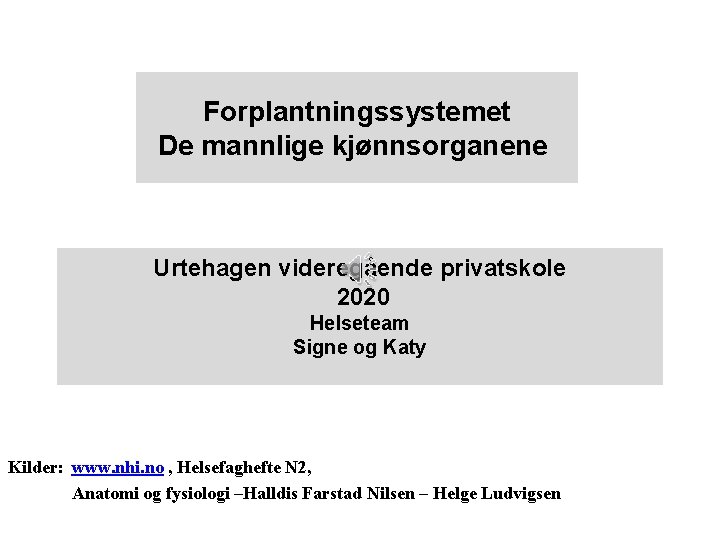 Forplantningssystemet De mannlige kjønnsorganene Urtehagen videregående privatskole 2020 Helseteam Signe og Katy Kilder: www.