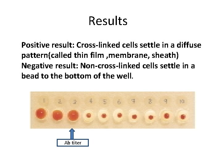 Results Positive result: Cross-linked cells settle in a diffuse pattern(called thin film , membrane,