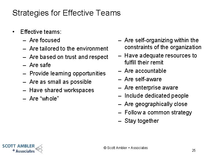 Strategies for Effective Teams • Effective teams: – Are focused – Are tailored to