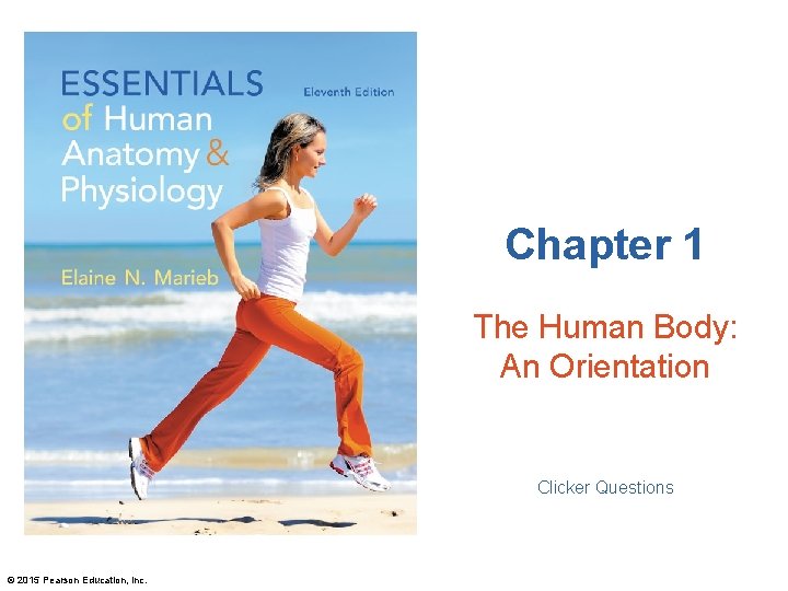 Chapter 1 The Human Body An Orientation Clicker