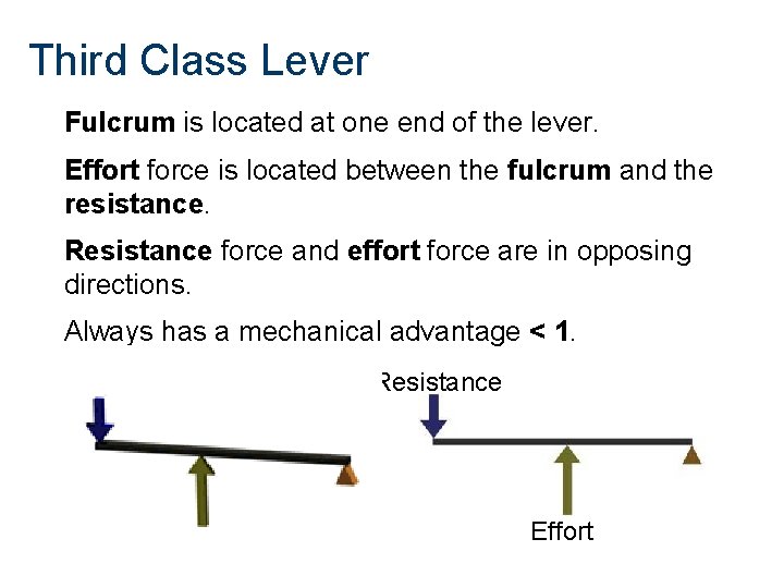 Third Class Lever Fulcrum is located at one end of the lever. Effort force
