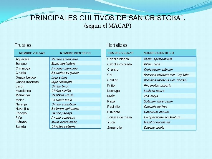 PRINCIPALES CULTIVOS DE SAN CRISTOBAL (según el MAGAP) Frutales NOMBRE VULGAR Aguacate Banano Chirimoya