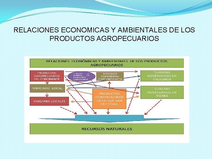 RELACIONES ECONOMICAS Y AMBIENTALES DE LOS PRODUCTOS AGROPECUARIOS 