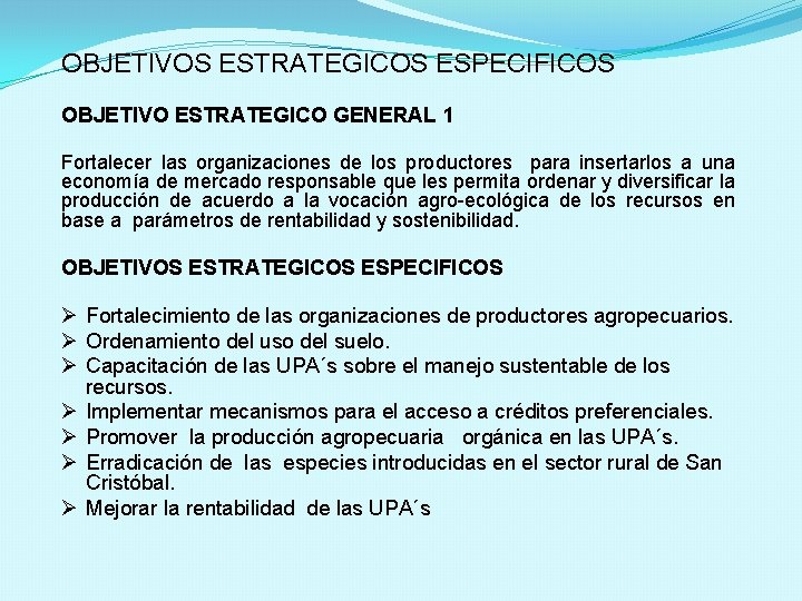 OBJETIVOS ESTRATEGICOS ESPECIFICOS OBJETIVO ESTRATEGICO GENERAL 1 Fortalecer las organizaciones de los productores para OBJETIVOS ESTRATEGICOS ESPECIFICOS OBJETIVO ESTRATEGICO GENERAL 1 Fortalecer las organizaciones de los productores para