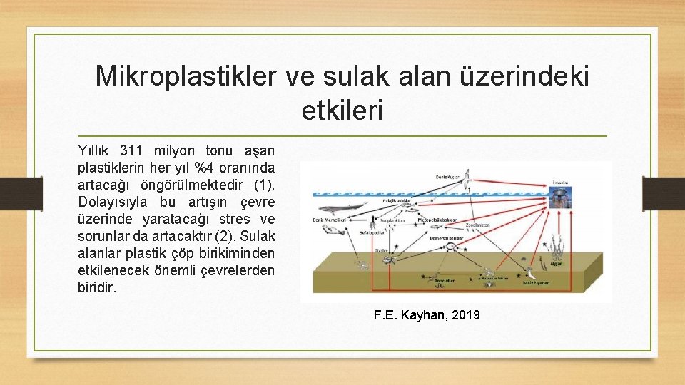 Mikroplastikler ve sulak alan üzerindeki etkileri Yıllık 311 milyon tonu aşan plastiklerin her yıl