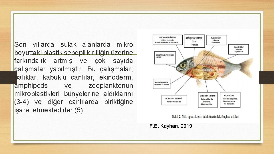 Son yıllarda sulak alanlarda mikro boyuttaki plastik sebepli kirliliğin üzerine farkındalık artmış ve çok