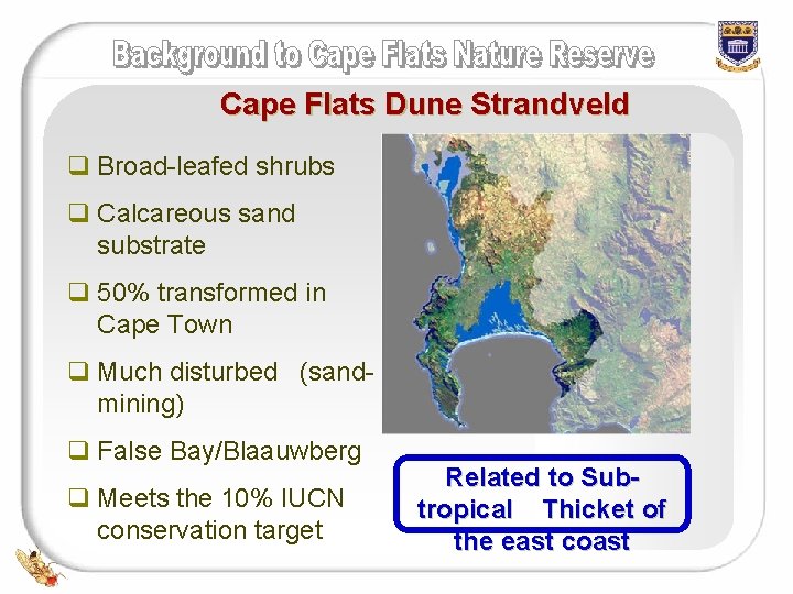 Cape Flats Dune Strandveld q Broad-leafed shrubs q Calcareous sand substrate q 50% transformed