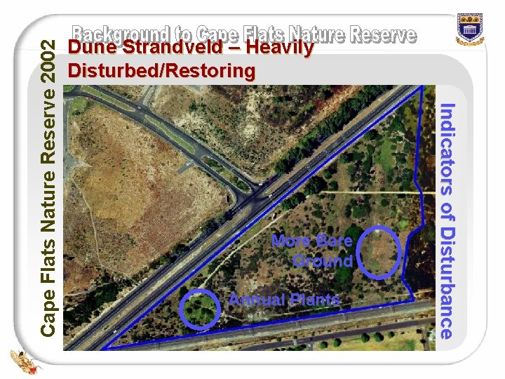 More Bare Ground Annual Plants Indicators of Disturbance Cape Flats Nature Reserve 2002 Dune