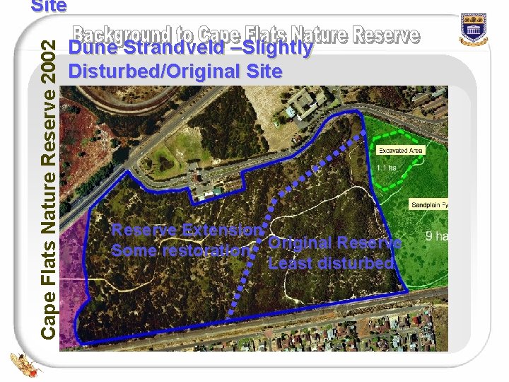 Cape Flats Nature Reserve 2002 Site Dune Strandveld –Slightly Disturbed/Original Site Reserve Extension Some