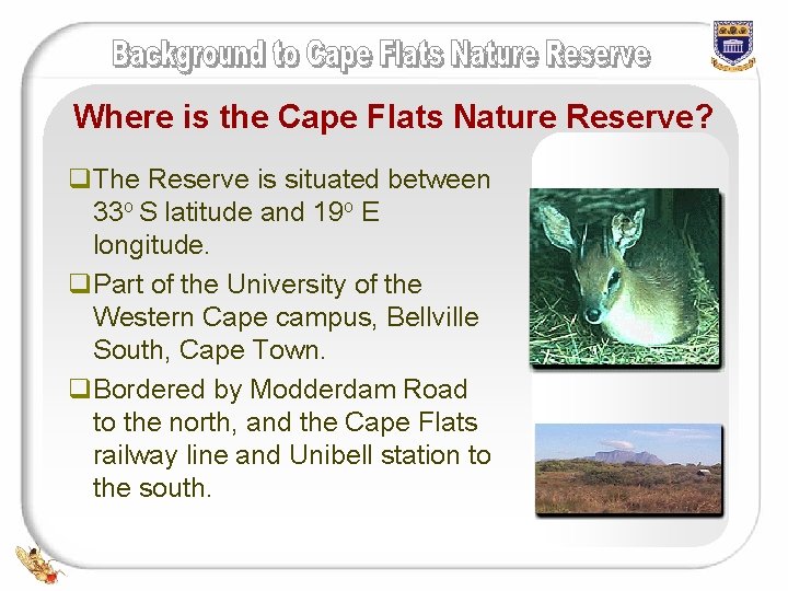 Where is the Cape Flats Nature Reserve? q. The Reserve is situated between 33