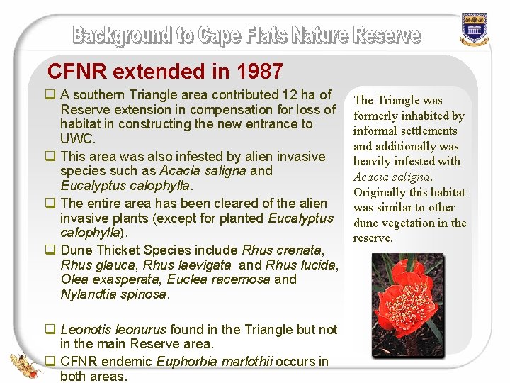 CFNR extended in 1987 q A southern Triangle area contributed 12 ha of Reserve