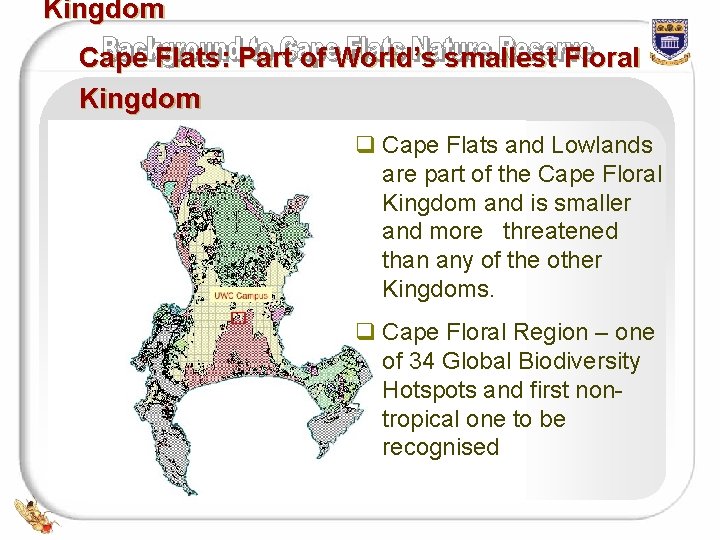 Kingdom Cape Flats: Part of World’s smallest Floral Kingdom q Cape Flats and Lowlands