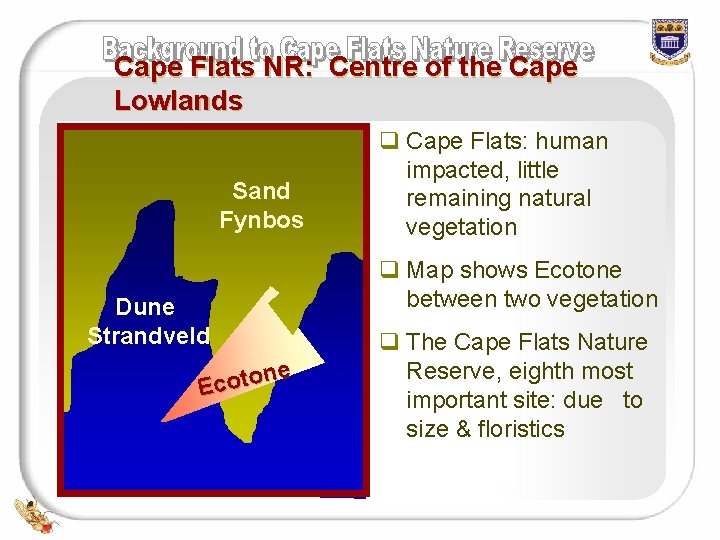 Cape Flats NR: Centre of the Cape Lowlands Sand Fynbos Dune Strandveld e n
