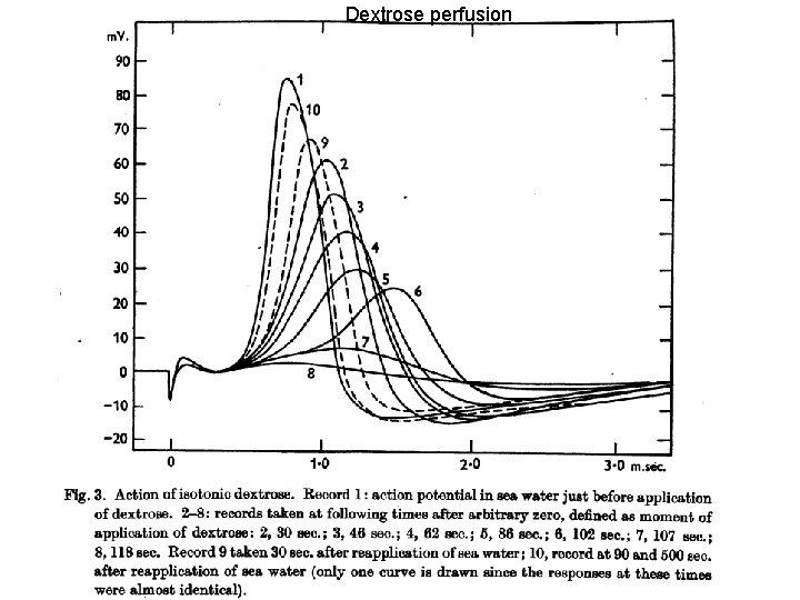 Dextrose perfusion 