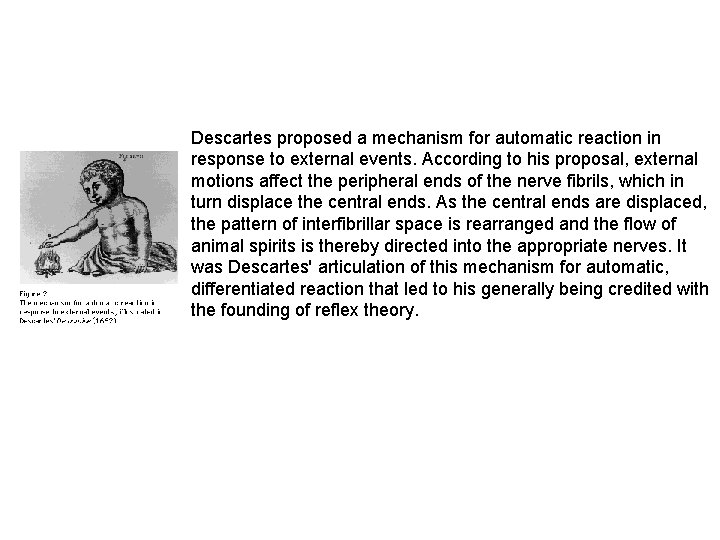 Descartes proposed a mechanism for automatic reaction in response to external events. According to