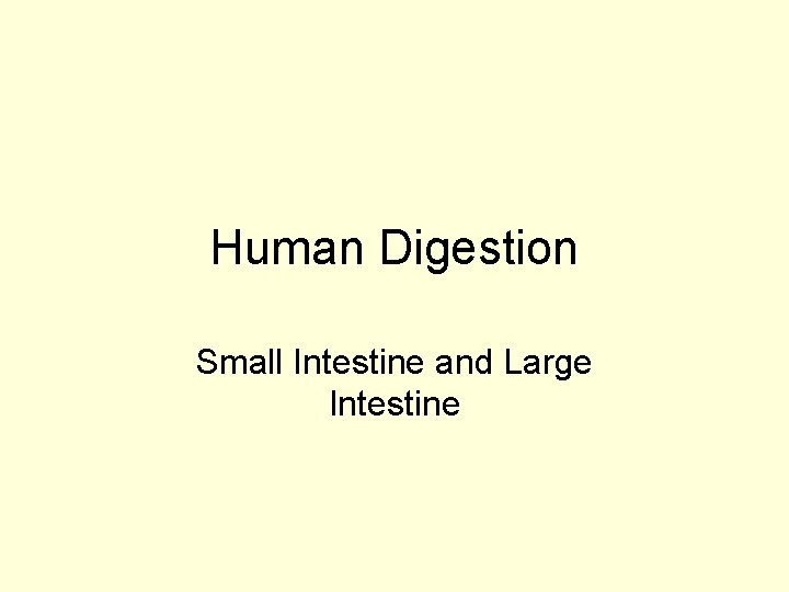 Human Digestion Small Intestine and Large Intestine 