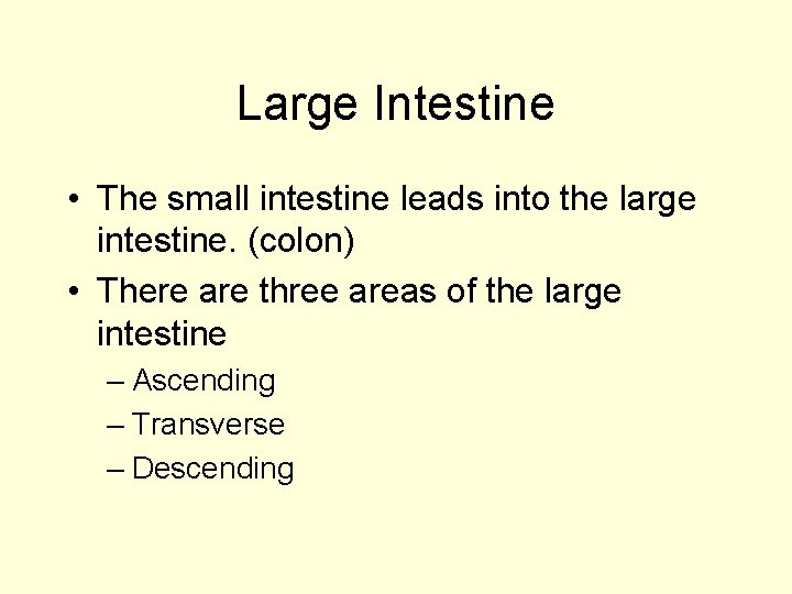 Large Intestine • The small intestine leads into the large intestine. (colon) • There