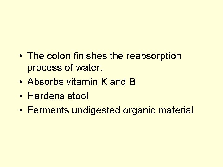 • The colon finishes the reabsorption process of water. • Absorbs vitamin K