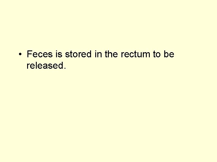  • Feces is stored in the rectum to be released. 