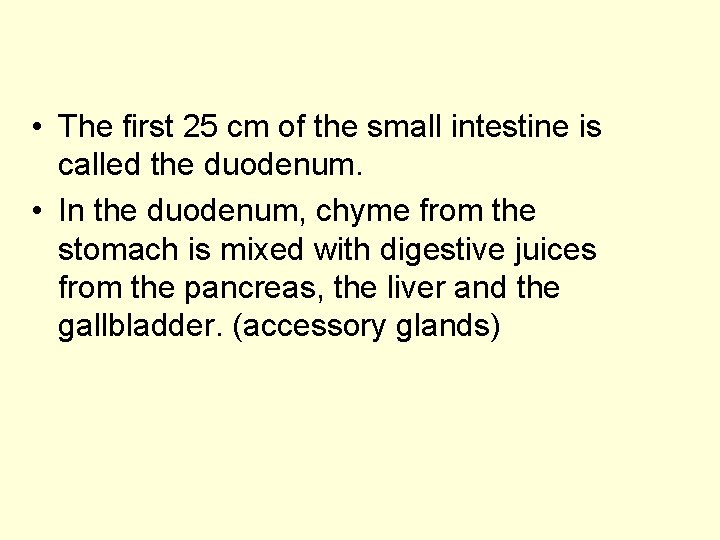  • The first 25 cm of the small intestine is called the duodenum.