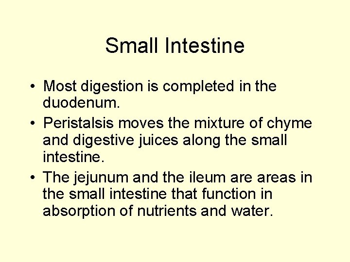 Small Intestine • Most digestion is completed in the duodenum. • Peristalsis moves the