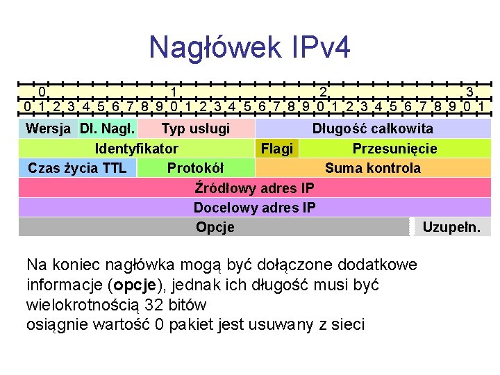 Nagłówek IPv 4 0 1 2 3 0 1 2 3 4 5 6