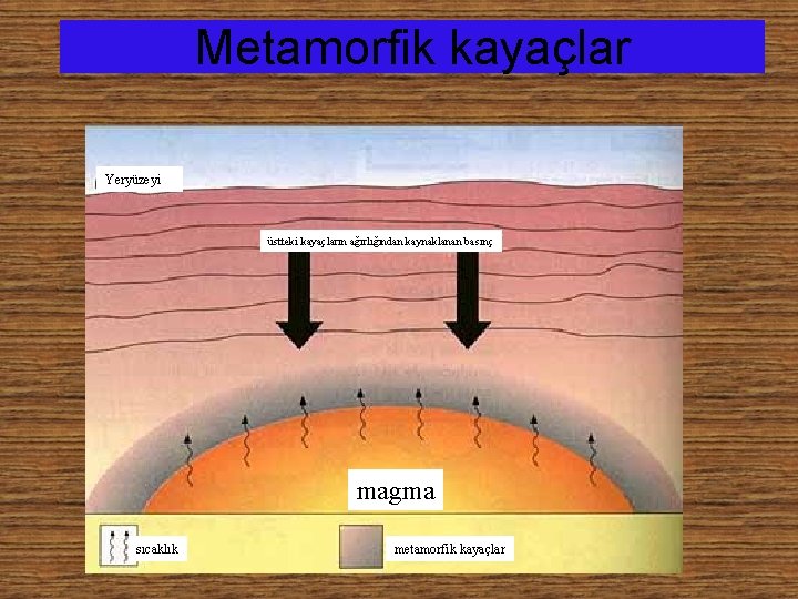 Metamorfik kayaçlar Yeryüzeyi üstteki kayaçların ağırlığından kaynaklanan basınç magma sıcaklık metamorfik kayaçlar 
