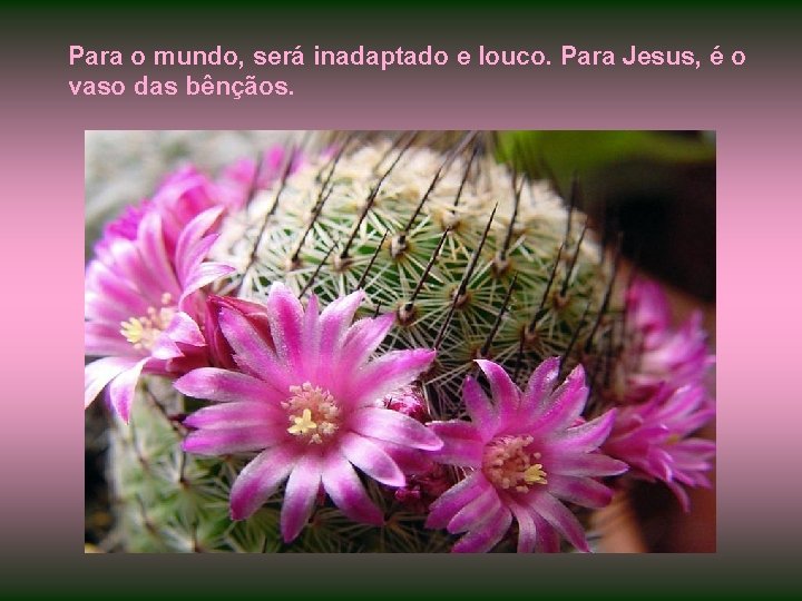 Para o mundo, será inadaptado e louco. Para Jesus, é o vaso das bênçãos.