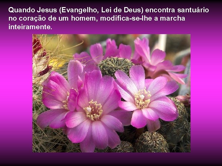 Quando Jesus (Evangelho, Lei de Deus) encontra santuário no coração de um homem, modifica-se-Ihe