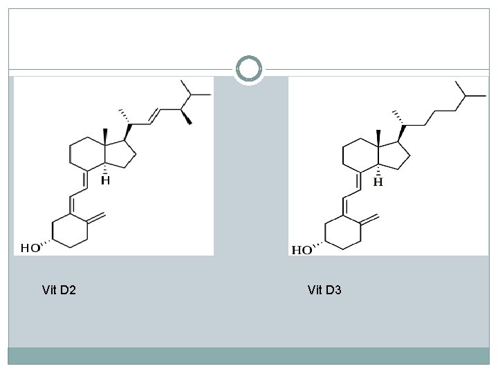 Vit D 2 Vit D 3 