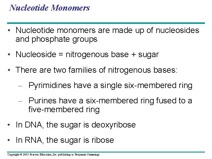 Nucleotide Monomers • Nucleotide monomers are made up of nucleosides and phosphate groups •