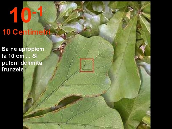 -1 10 10 Centímetri Sa ne apropiem la 10 cm. . . Si putem