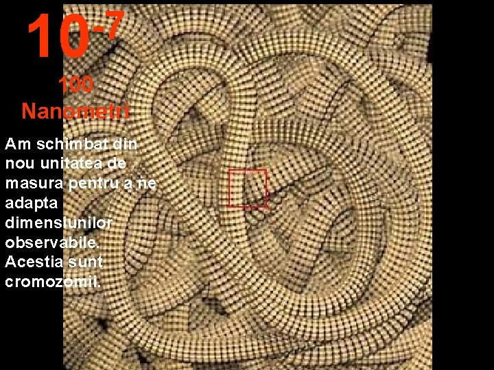 -7 10 100 Nanometri Am schimbat din nou unitatea de masura pentru a ne
