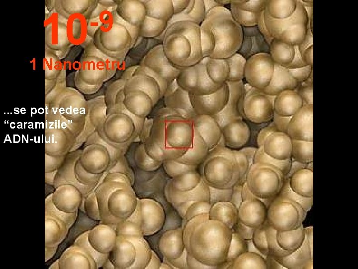 -9 10 1 Nanometru. . . se pot vedea “caramizile” ADN-ului. 