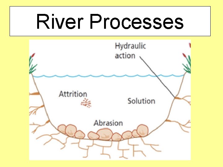 River Processes 